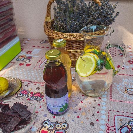 Bungalovy Natura Trávnica Zewnętrze zdjęcie