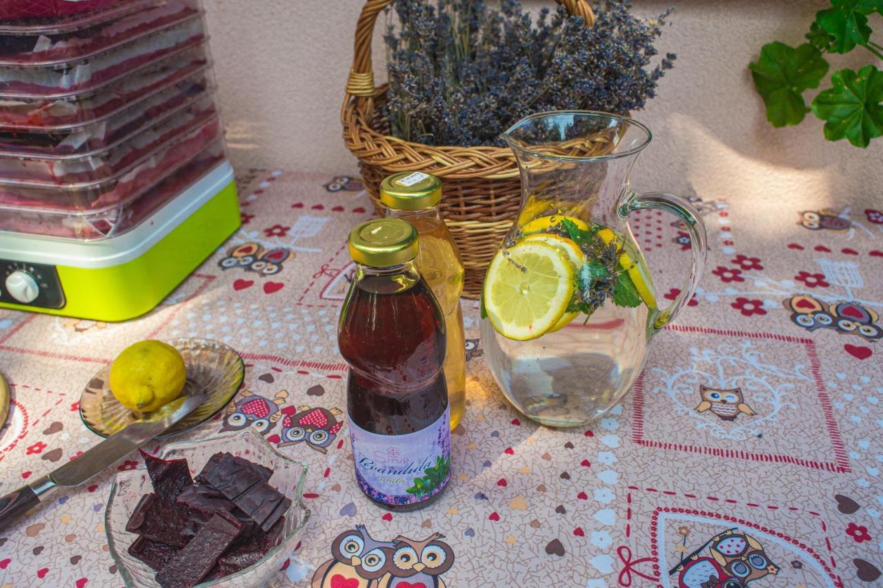 Bungalovy Natura Trávnica Zewnętrze zdjęcie